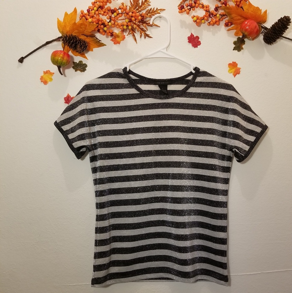 🍃 The Limited Shimmery Striped Top
